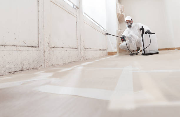24/7 Emergency Attic Mold Removal experts in Linden, TX